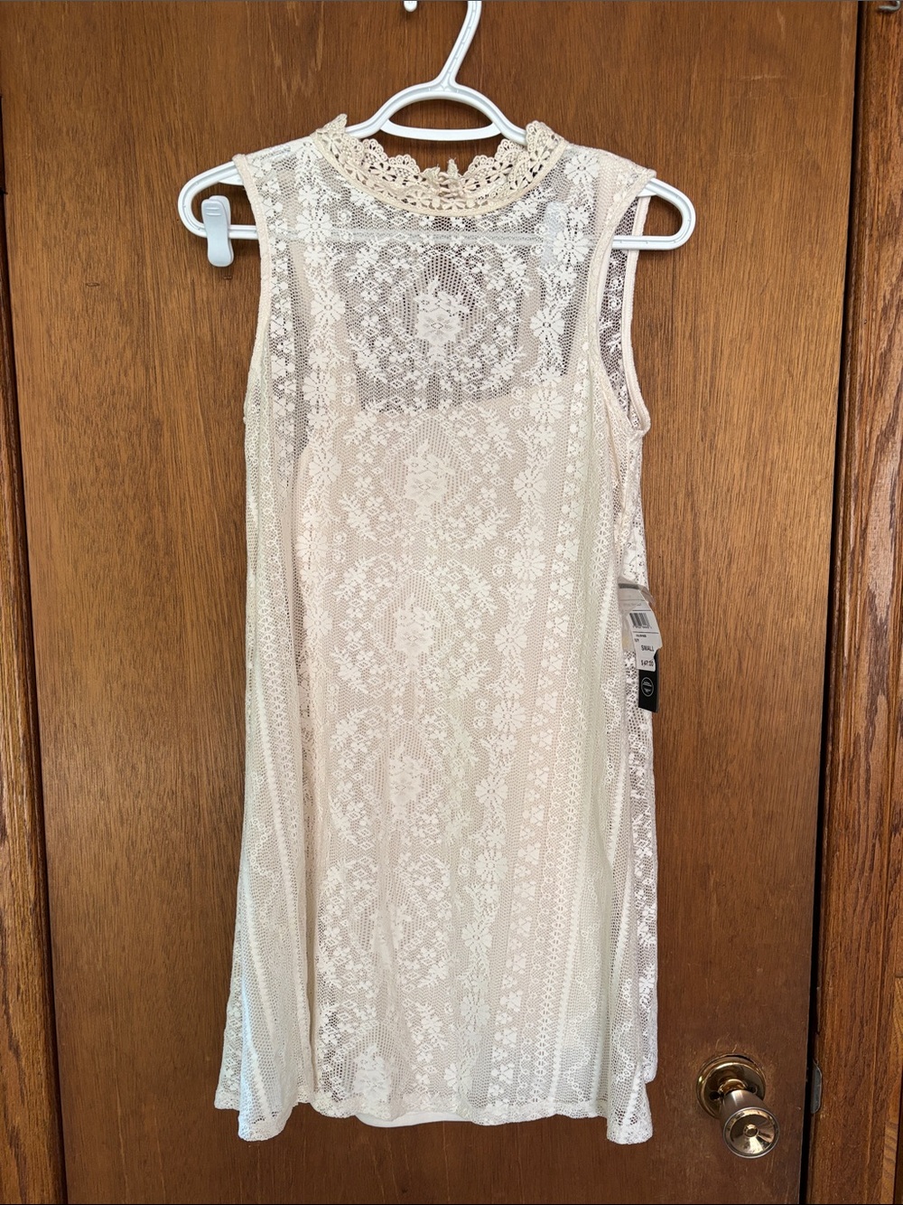 Sleeveless Lace A-Line Dress in Cream
